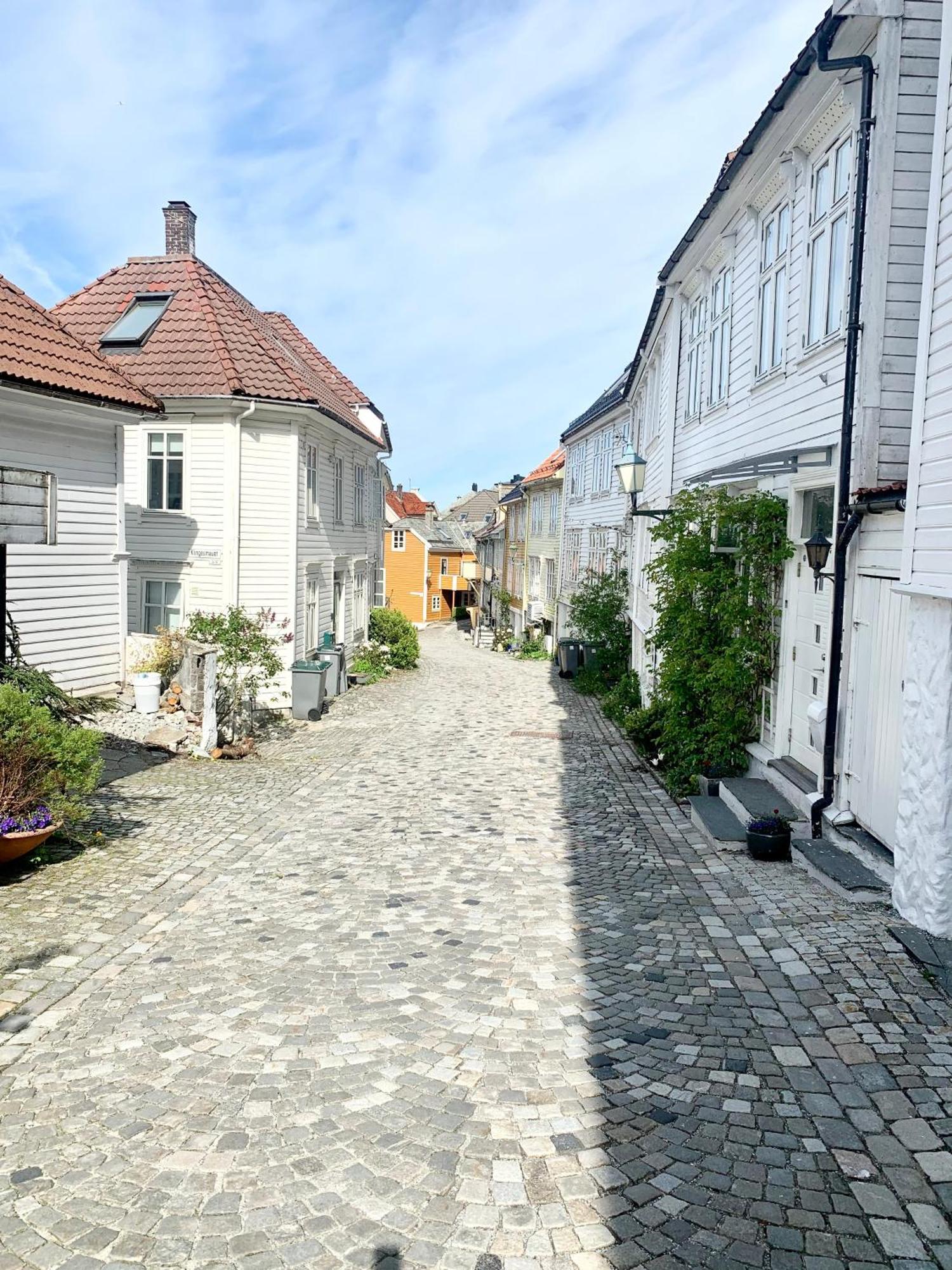 Nedre Stolen Apartment Bergen Bagian luar foto